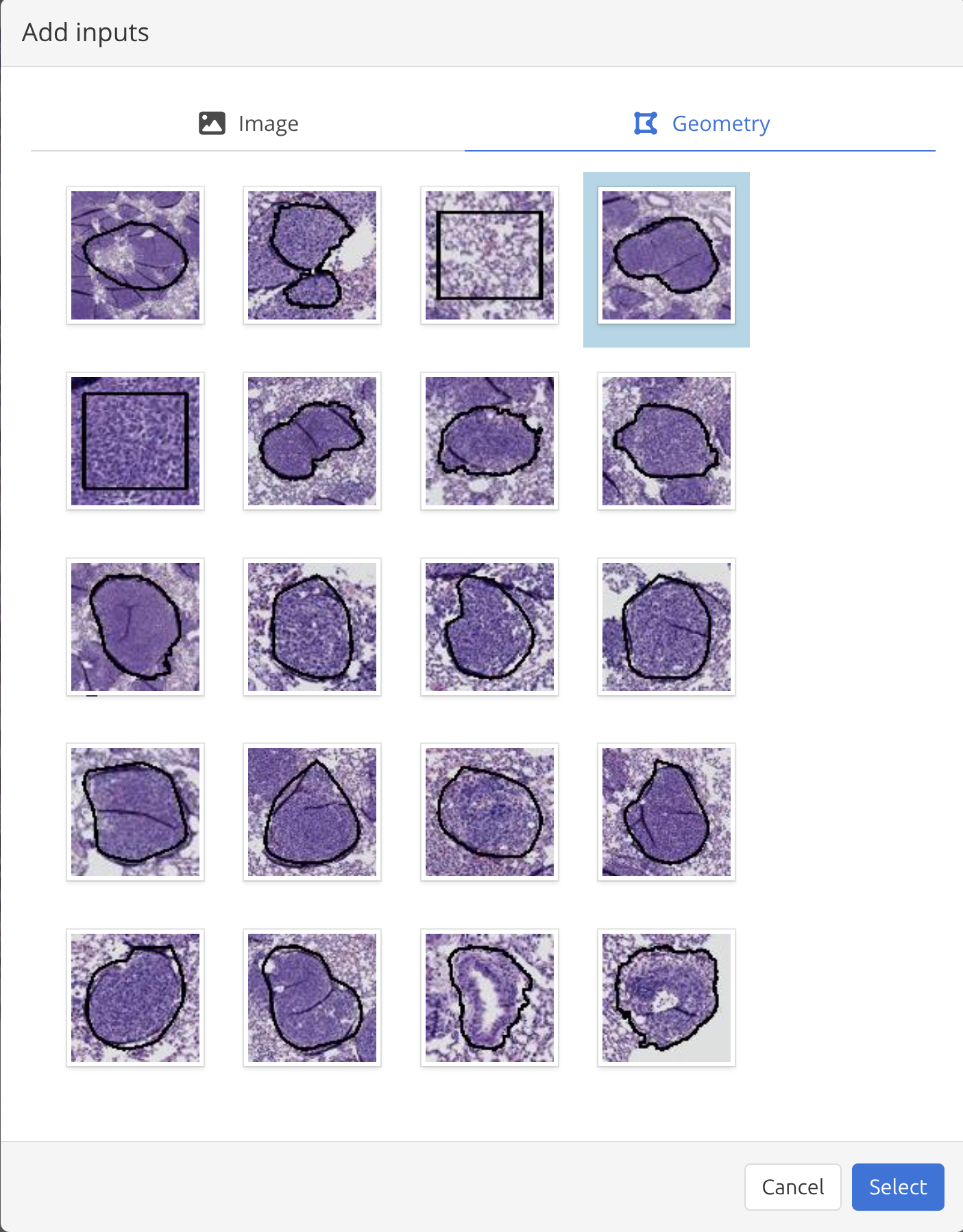 Image viewer Run a Task